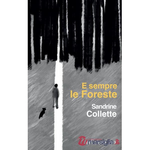 E sempre le foreste