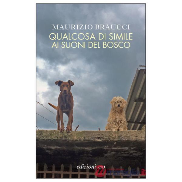 Qualcosa di simile ai suoni del bosco