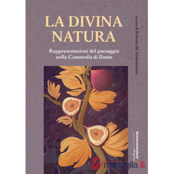 La divina natura. Rappresentazioni del paesaggio nella Divina Commedia