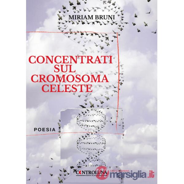 Concentrati sul cromosoma celeste