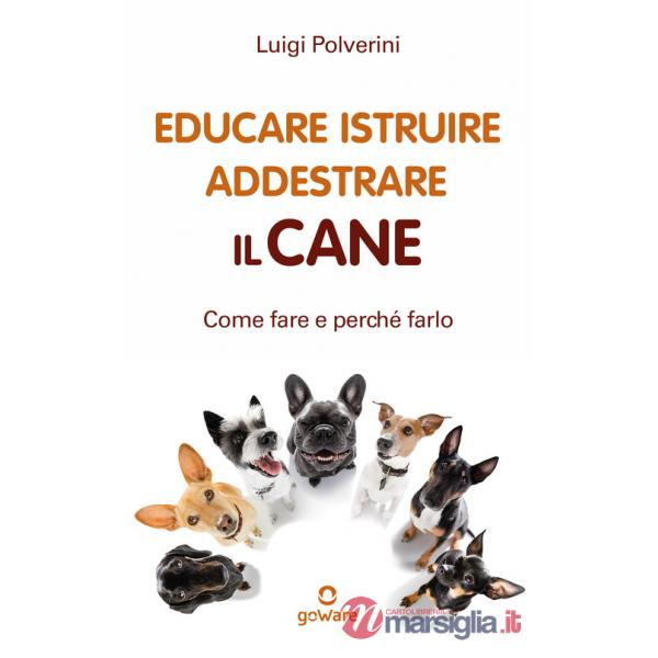 Educare, istruire, addestrare il cane. Come farlo e perché farlo