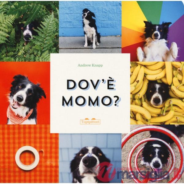 Dov'è Momo? Ediz. a colori