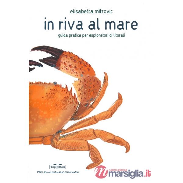 In riva al mare. Guida pratica per esploratori di litorali