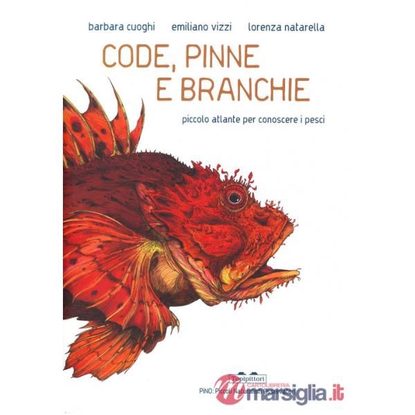 Code, pinne e branchie. Piccolo atlante per conoscere i pesci