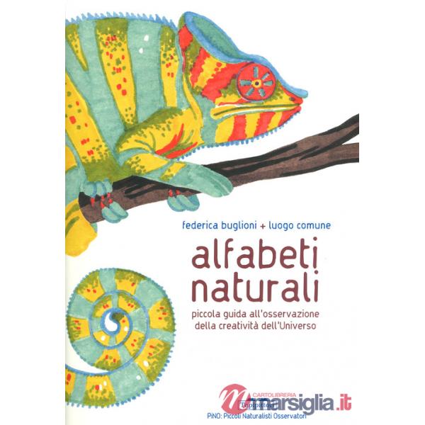 Alfabeti naturali. Piccola guida all'osservazione della creatività dell'universo. Ediz. a colori