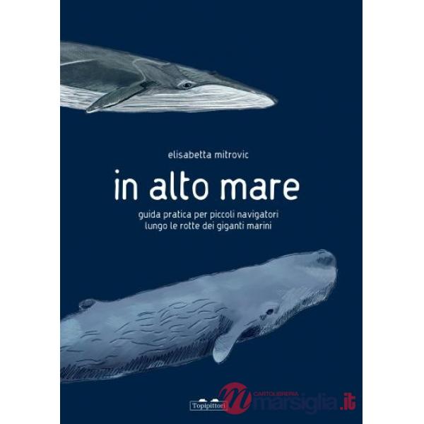 In alto mare. Guida pratica per piccoli navigatori lungo le rotte dei giganti marini. Ediz. a colori