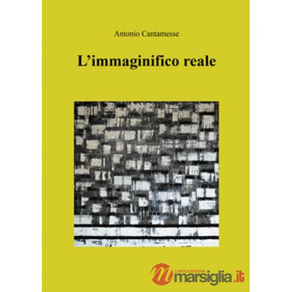Immaginifico reale (L')