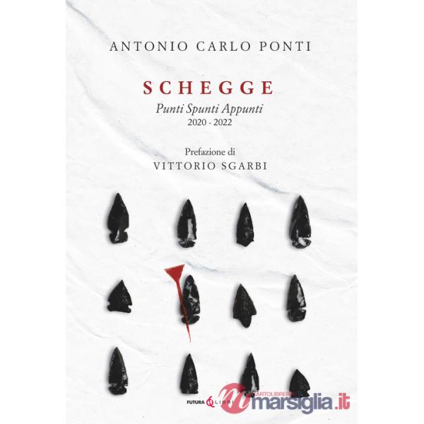 Schegge. Punti spunti appunti 2020-2022
