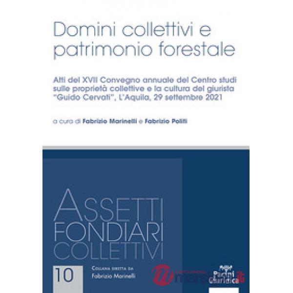 Domini collettivi e patrimonio forestale. Atti del XVII Convegno annuale del Centro studi sulle proprietà collettive e la cultur