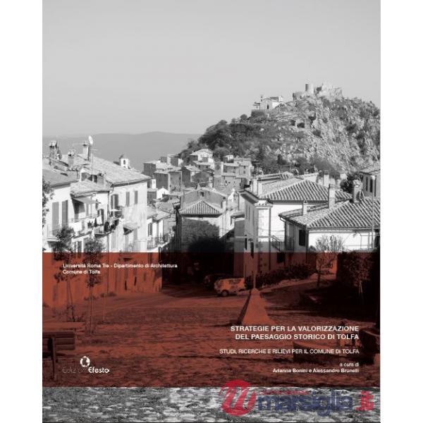Strategie per la valorizzazione del paesaggio storico di Tolfa. Studi, ricerche e rilievi per il comune di Tolfa