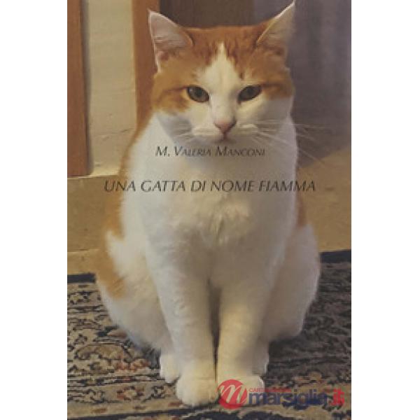 Gatta di nome Fiamma. Ediz. illustrata (Una)