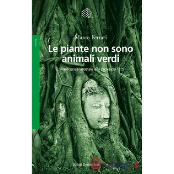 Piante non sono animali verdi. L'intelligenza vegetale alla prova dei fatti (Le)