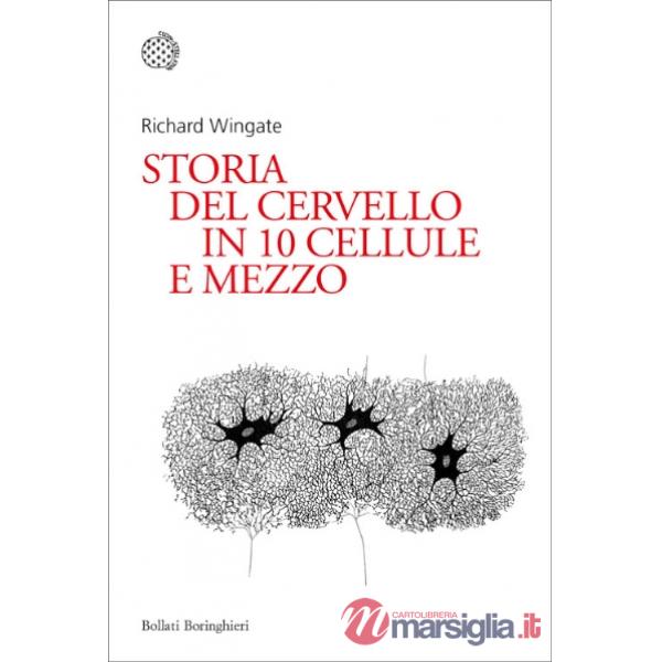 Storia del cervello in 10 cellule e mezzo