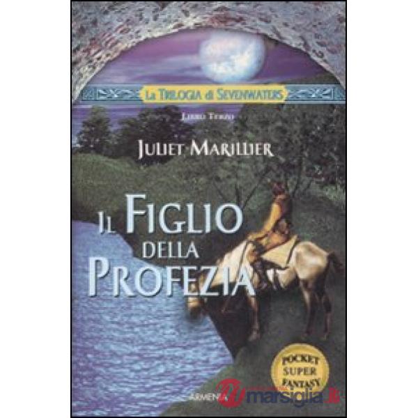 Figlio della profezia. La trilogia di Sevenwaters (Il). Vol. 3
