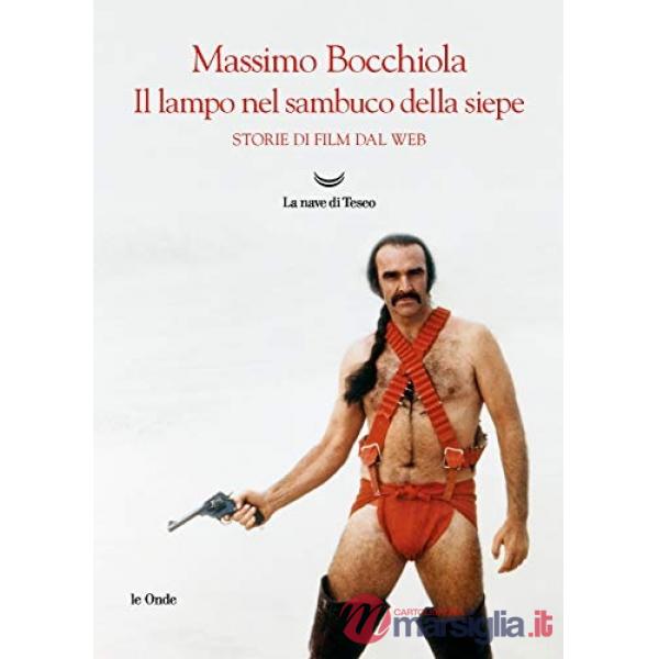 Lampo nel sambuco della siepe. Storie di film dal web (Il)