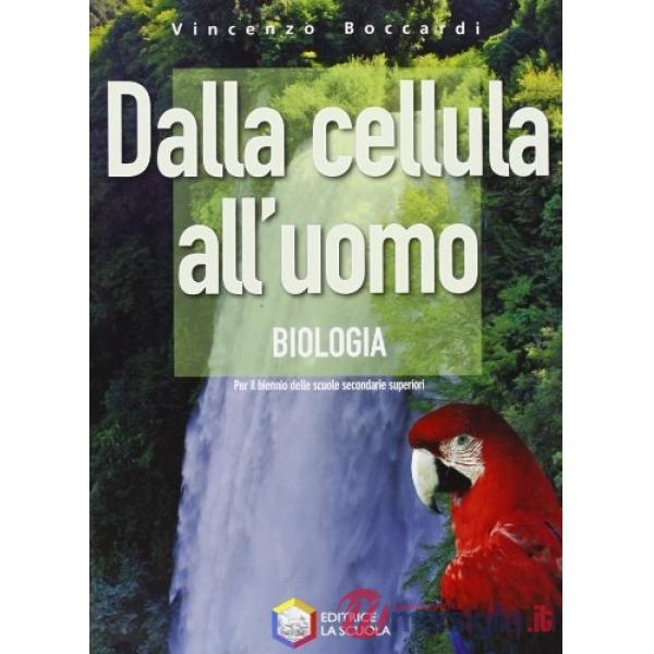 DALLA CELLULA ALLUOMO