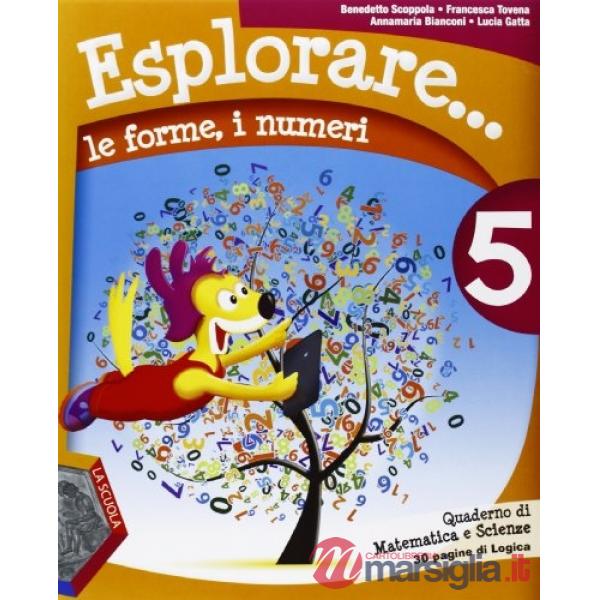 ESPLORARE... LE FORME E I NUMERI 5