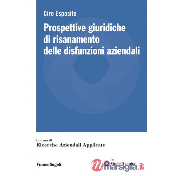 Prospettive giuridiche di risanamento delle disfunzioni aziendali