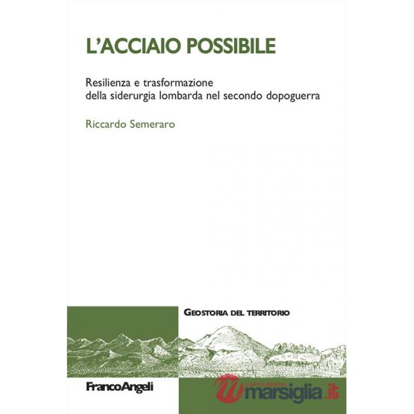 Acciaio possibile. Resilienza e trasformazione della siderurgia lombarda nel secondo dopoguerra (L')