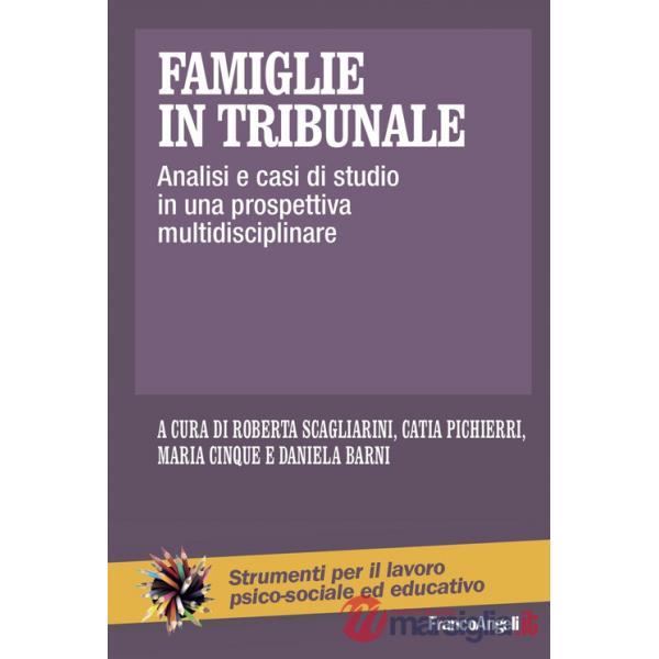 Famiglie in tribunale. Analisi e casi di studio in una prospettiva multidisciplinare