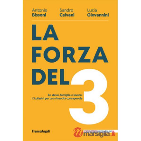 Forza del 3. Se stessi, famiglia e lavoro: i 3 pilastri per una rinascita consapevole (La)