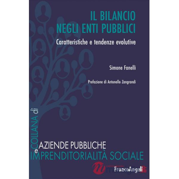 Bilancio negli enti pubblici. Caratteristiche e tendenze evolutive (Il)