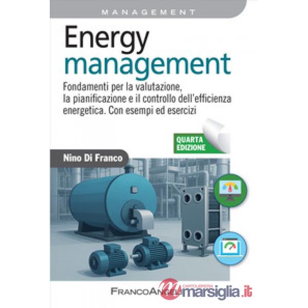 Energy management. Fondamenti per la valutazione, la pianificazione e il controllo dell'efficienza energetica. Con esempi ed ese