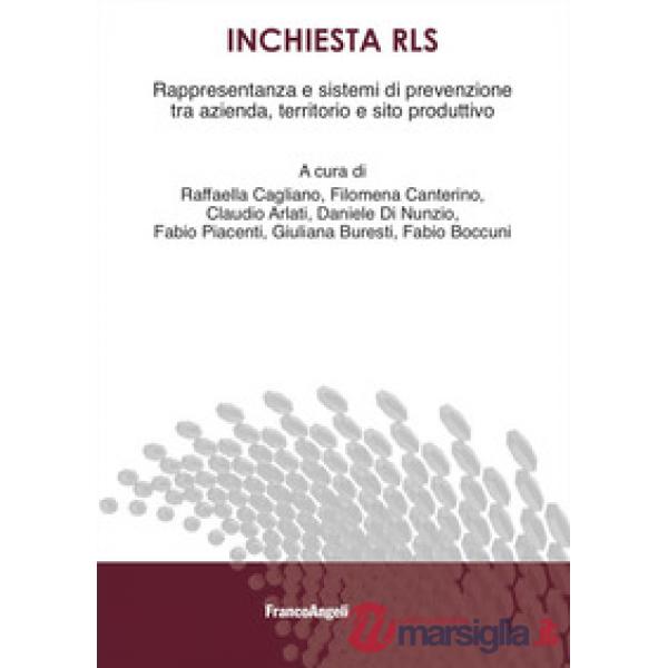 Inchiesta RLS. Rappresentanza e sistemi di prevenzione tra azienda, territorio e sito produttivo
