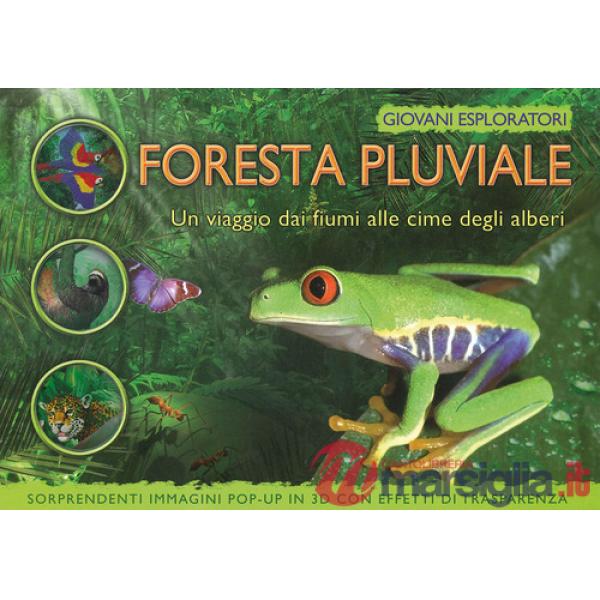 Foresta pluviale. Un viaggio dai fiume alle cime degli alberi. Ediz. a colori (La)