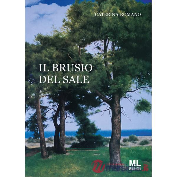 Brusio del sale. Con Meta Liber© (Il)
