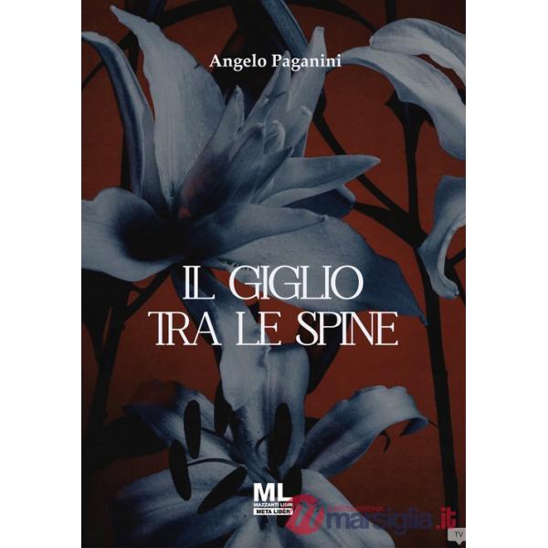 Giglio tra le spine. Ediz. speciale. Con Contenuto digitale per accesso online (Il)
