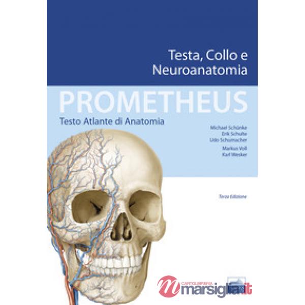 Prometheus. Testo atlante di anatonomia. Testa, collo e neuroanatomia