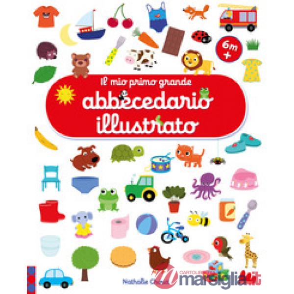 Mio primo grande abbecedario illustrato. Ediz. a colori (Il)