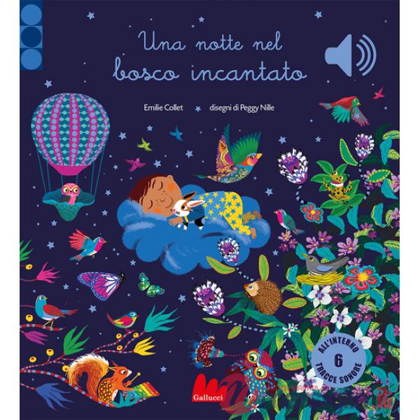 Notte nel bosco incantato. Ediz. a colori (Una)
