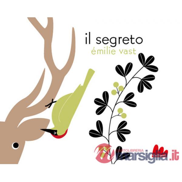 Segreto. Ediz. a colori (Il)