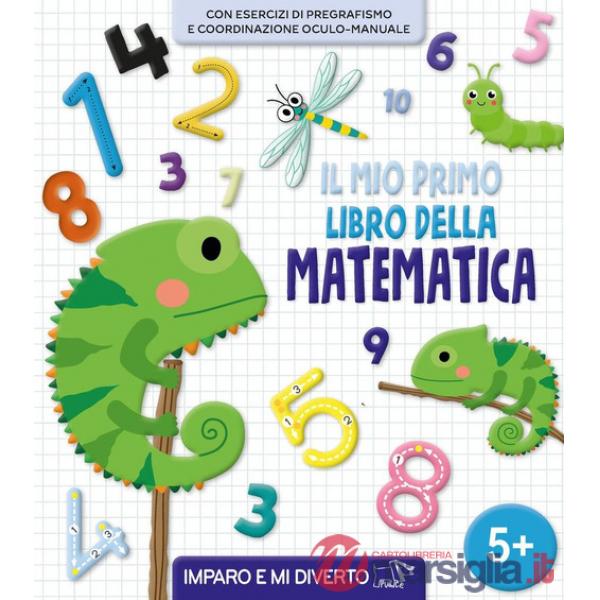 Mio primo libro della matematica. Ediz. a colori (Il)