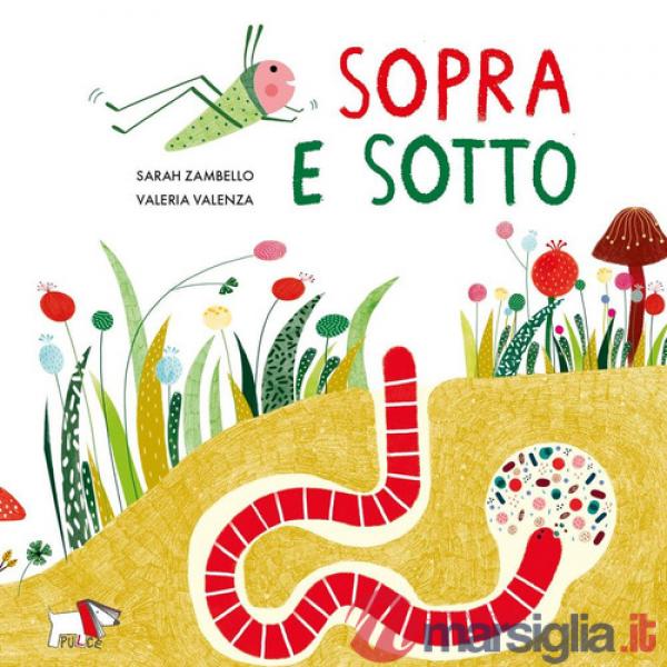 Sopra e sotto. Ediz. a colori