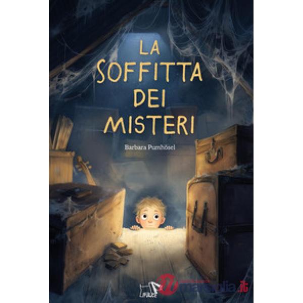Soffitta dei misteri. Ediz. illustrata (La)