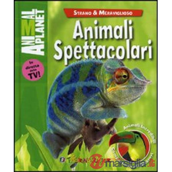 Animali spettacolari