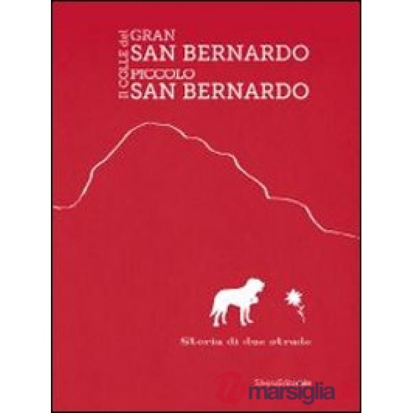 Colle del Gran San Bernardo-Il colle del Piccolo San Bernardo (Il)