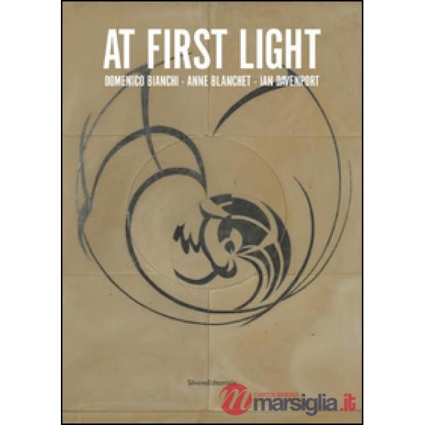 At first light. Domenico Bianchi, Anne Blanchet, Ian Davenport. Catalogo della m