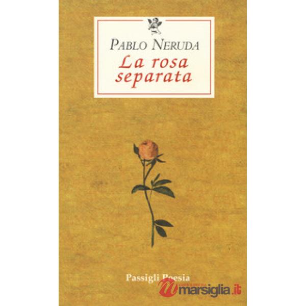 Rosa separata (La)