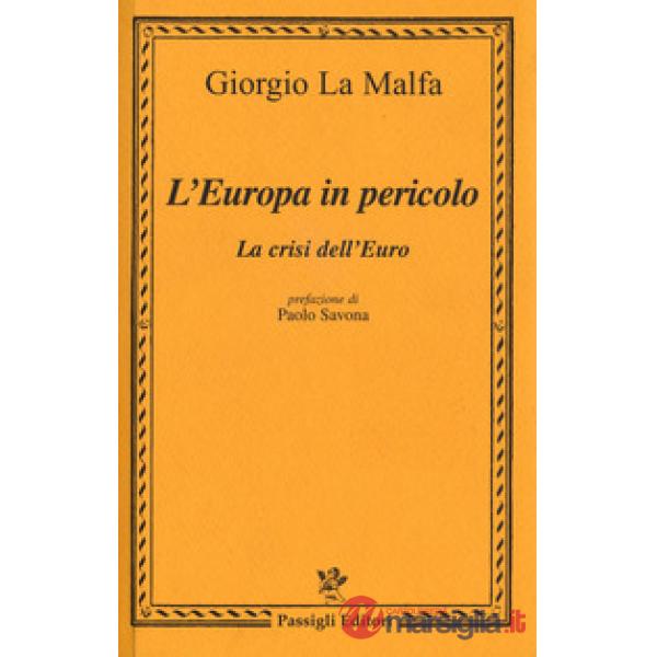 Europa in pericolo. La crisi dell'euro (L')
