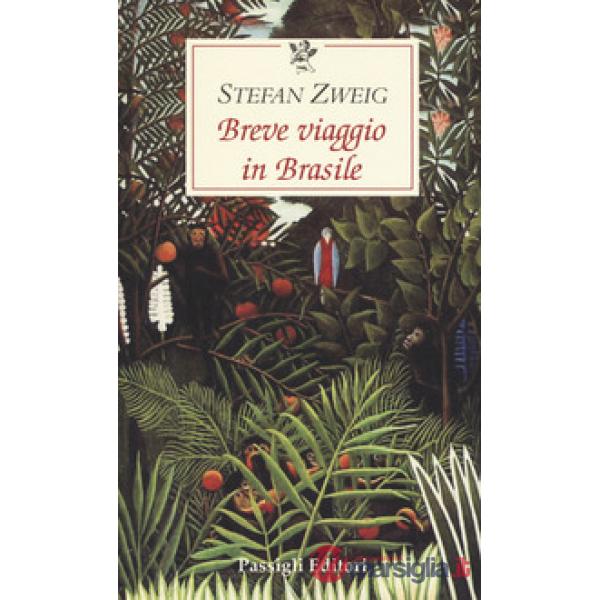 Breve viaggio in Brasile