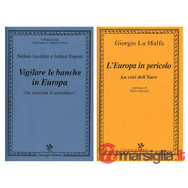Europa in pericolo. La crisi dell'euro-Vigilare le banche in Europa. Chi controlla il controllore? (L')