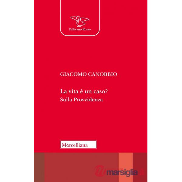 Vita è un caso? Sulla Provvidenza (La)