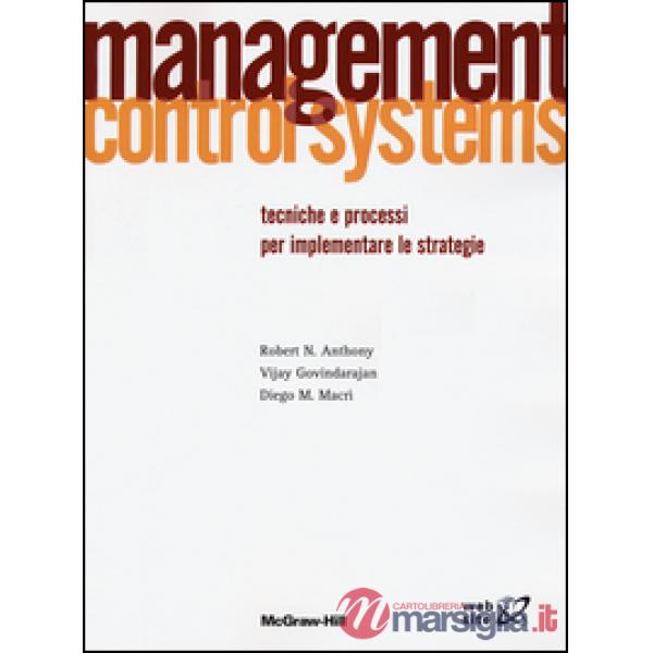 Management control systems. Tecniche e processi per implementare le strategie