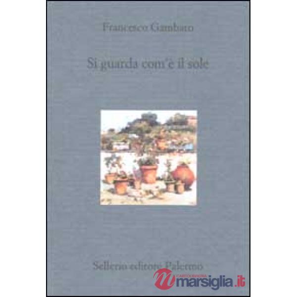 Si guarda com'è il sole