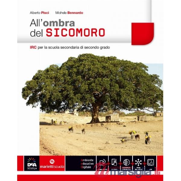 OMBRA SICOMORO + EB ES