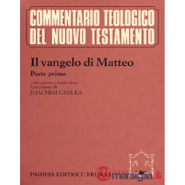 Vangelo di Matteo. Testo greco e traduzione (Il). Vol. 1